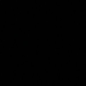 Meet your Posher, Alina